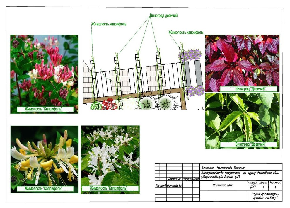 Ландшафтный дизайн - проект 40 соток