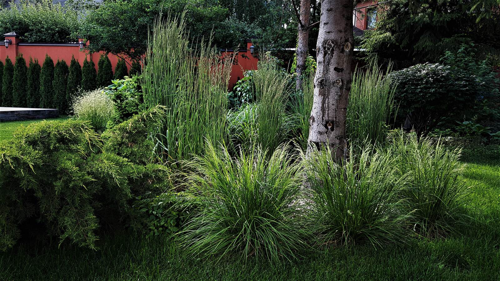 Сад с аурой