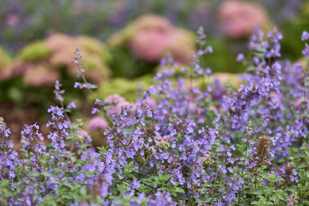 ЖК "Макаровский квартал"