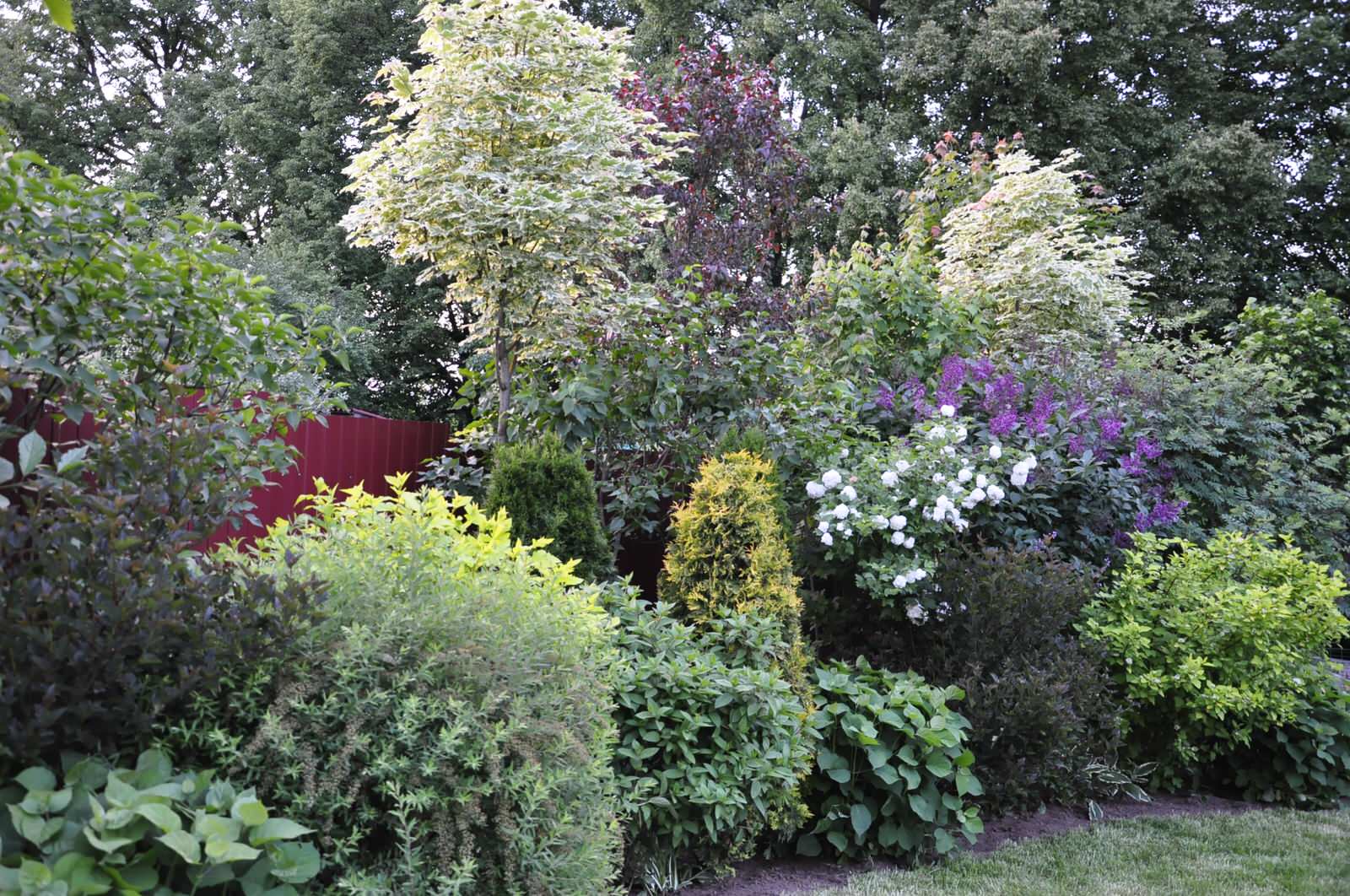 д. Громково - Уход за садом - 100% качество