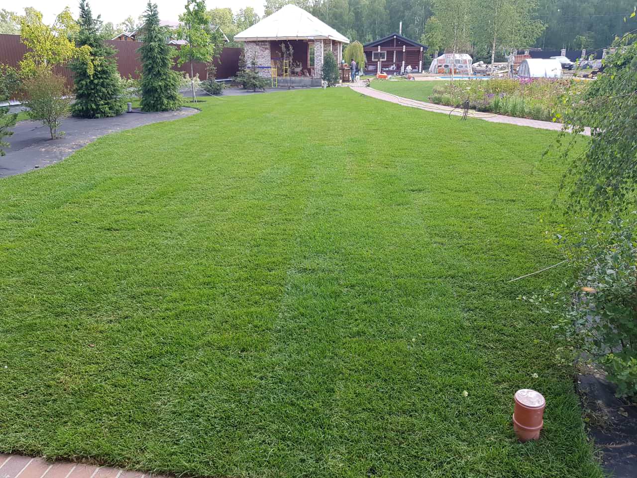 Укладка газона