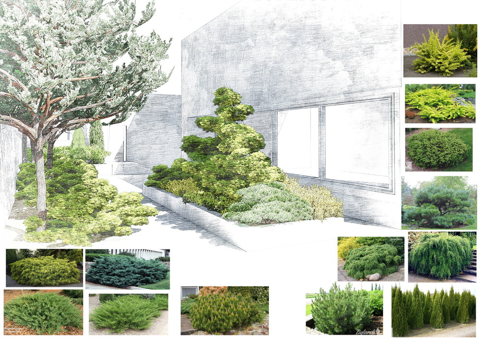 КП ЛАЗУРНЫЙ БЕРЕГ МОСКОВСКАЯ ОБЛ.