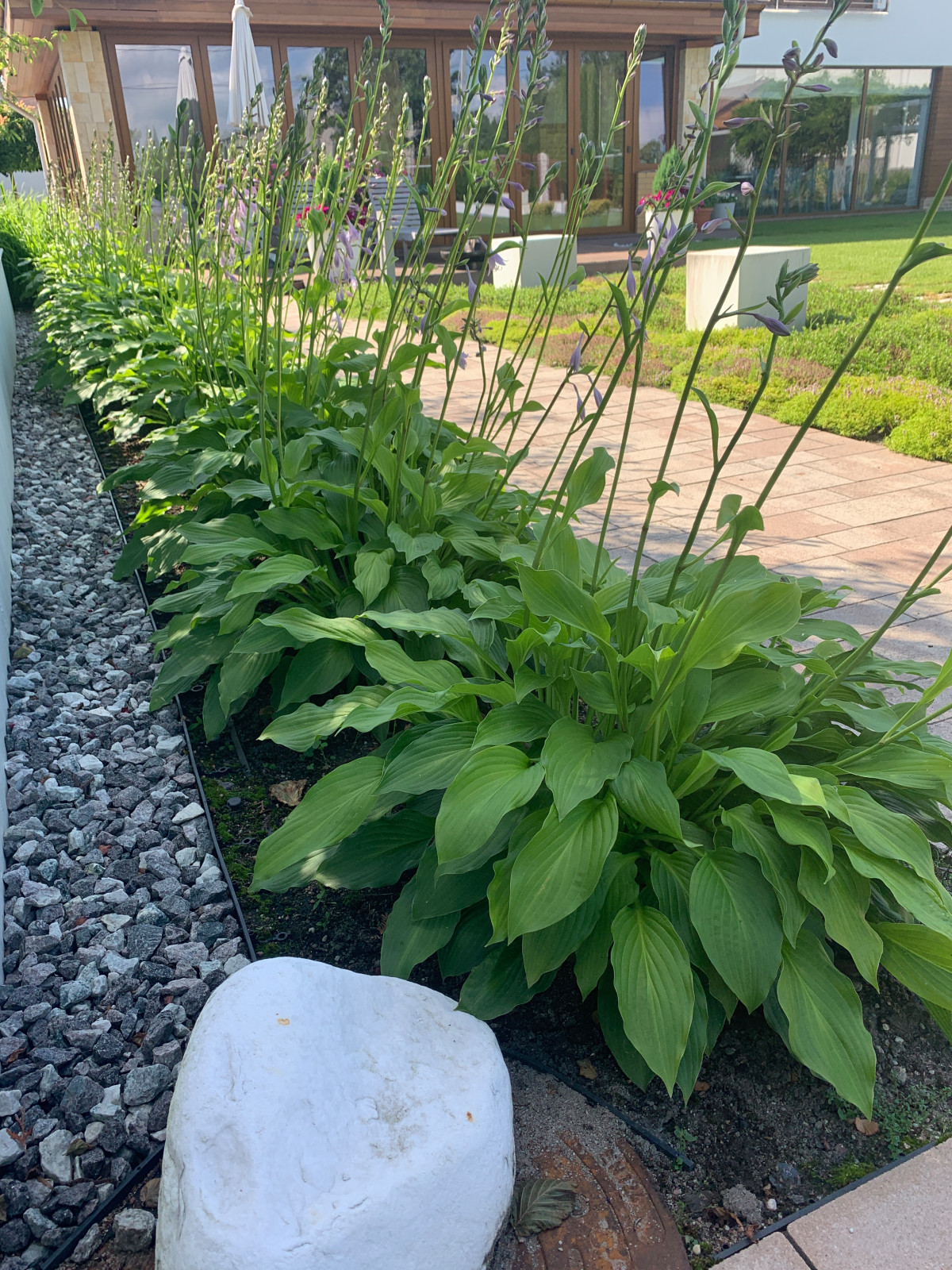 Современный сад для семьи