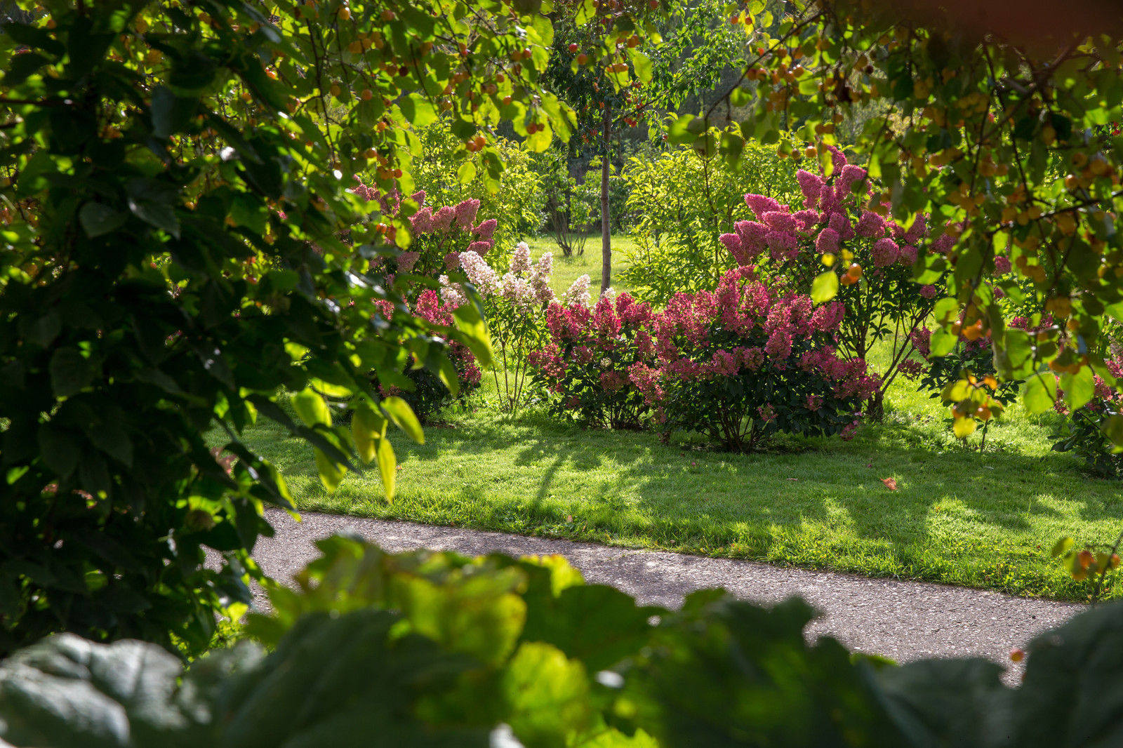 Парк в  Шаховском районе