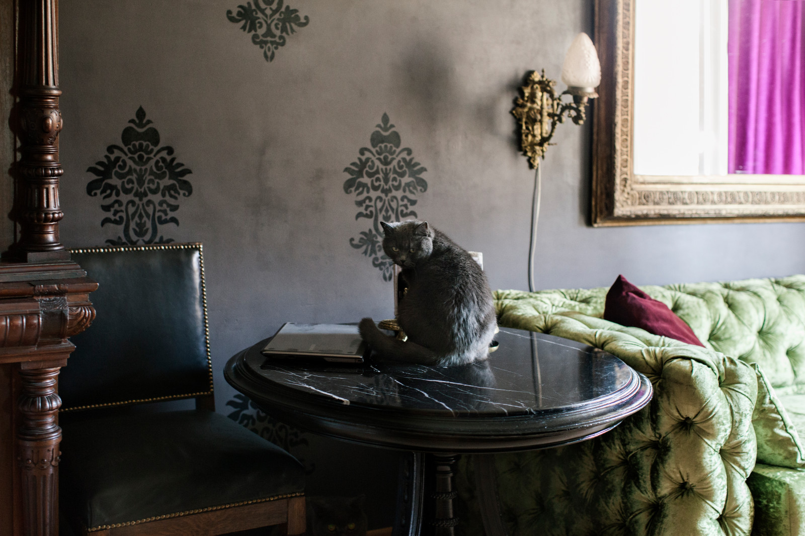 София/ дом художников