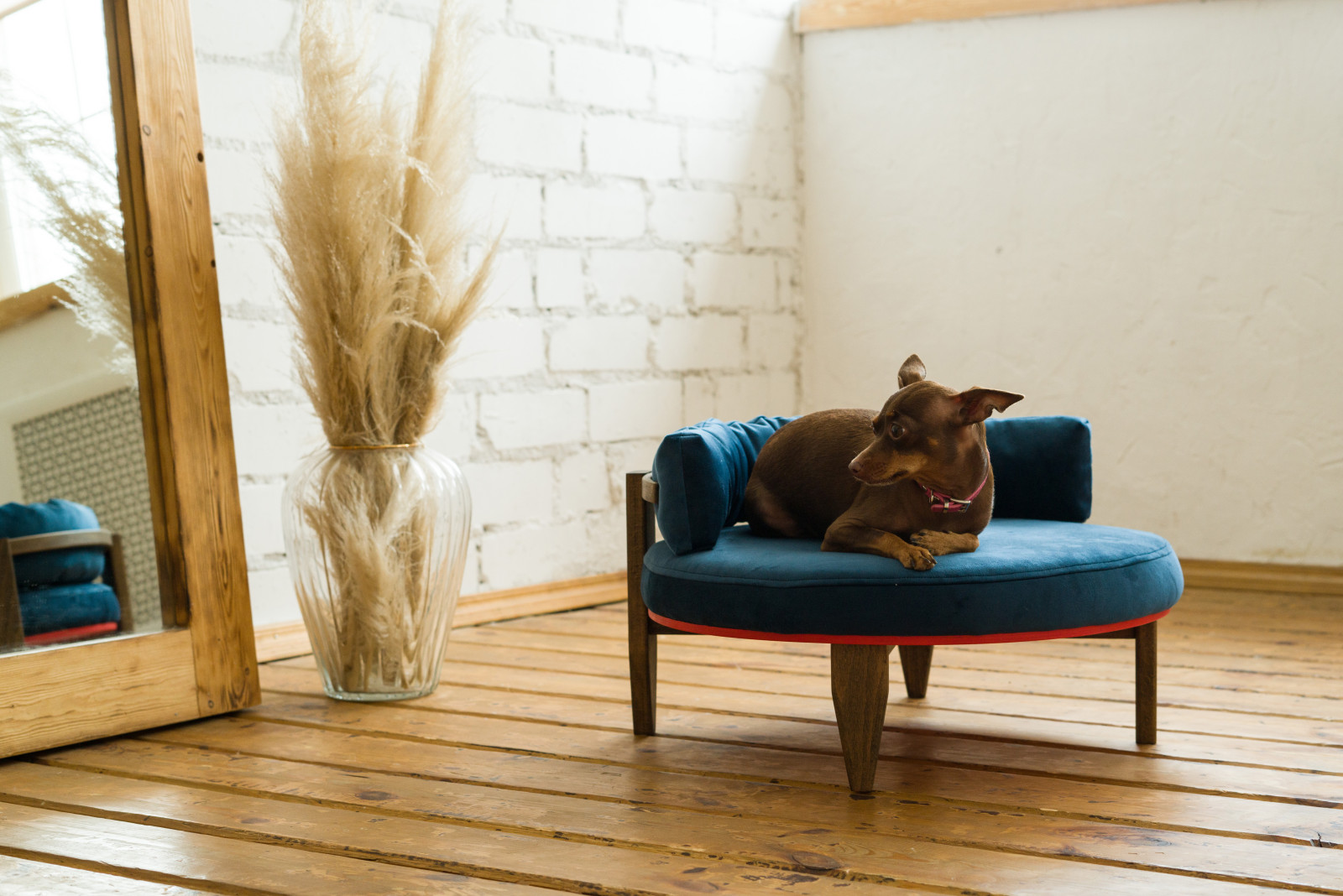 Обложка проекта: Диван BRIE для собак и кошек