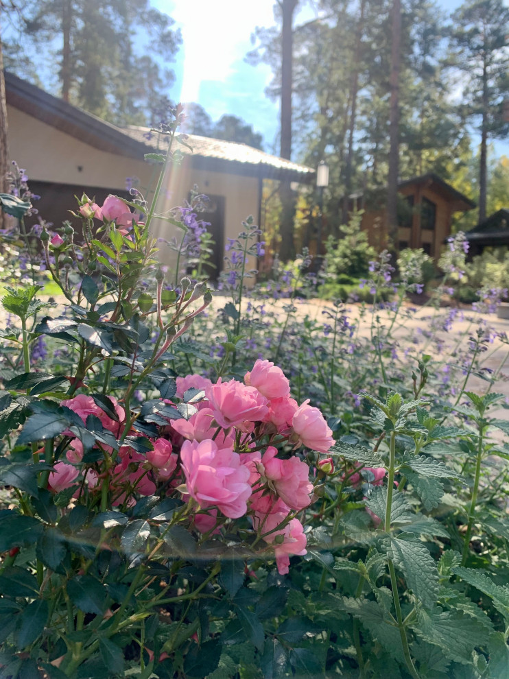 Таргайские усадьбы