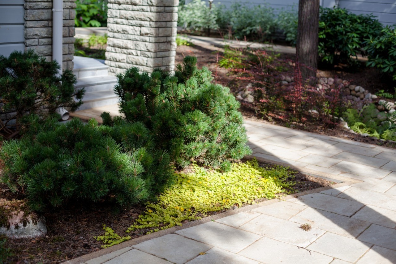 Ландшафтный дизайн