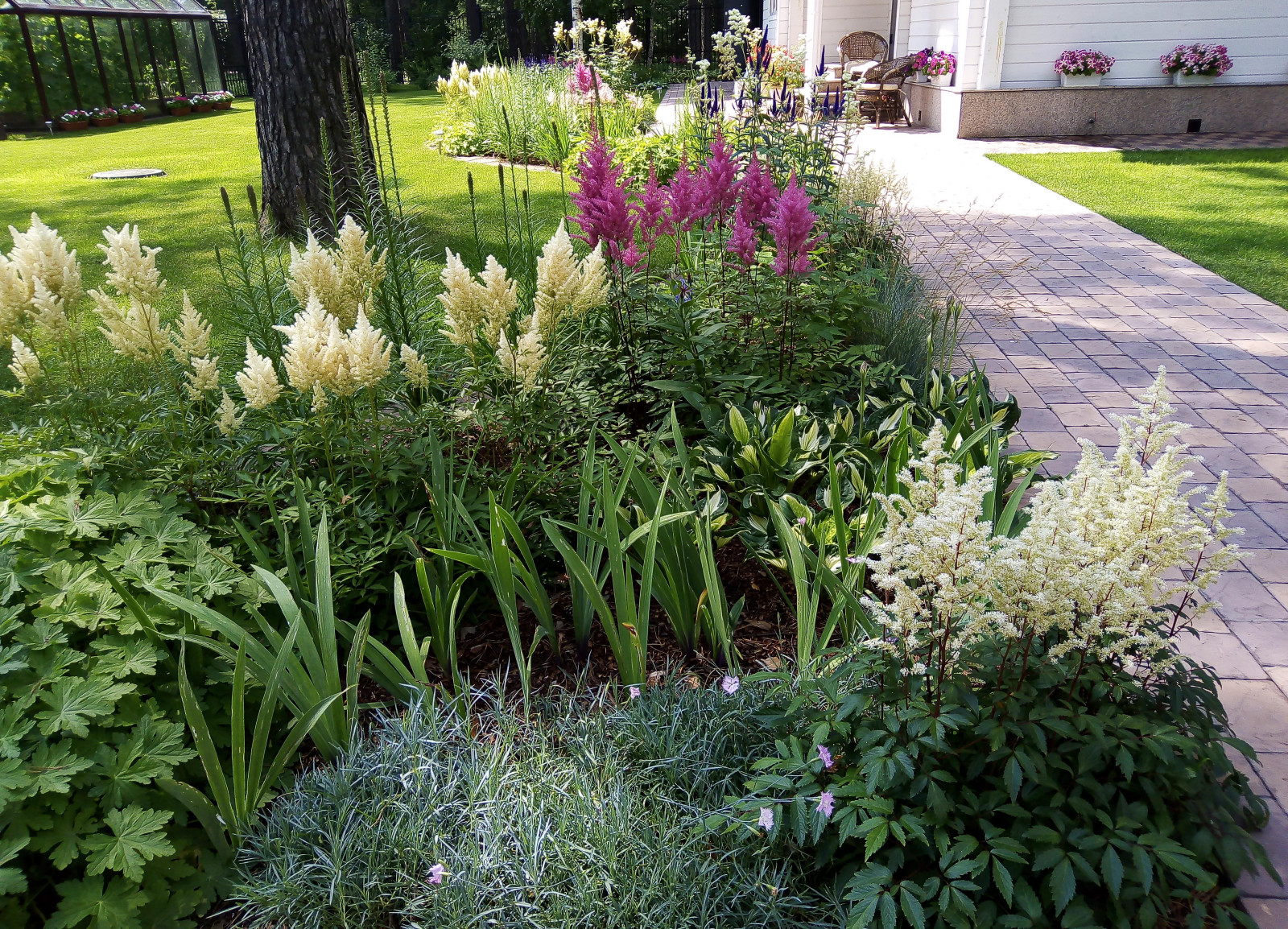 Цветники под пологом леса