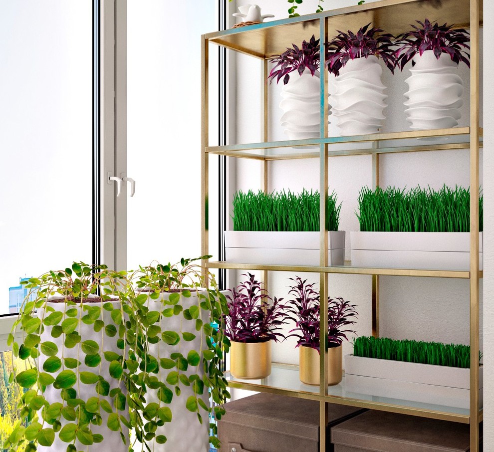 Солнечный бриз