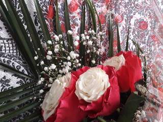 Вера Смирнова