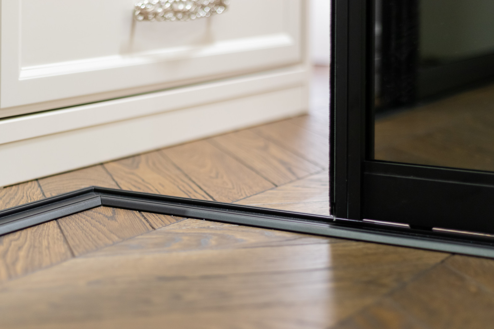 Двери-купе raumplus s150