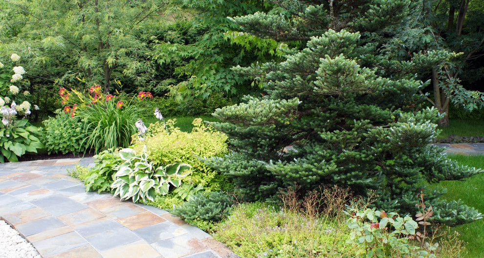 Участок 30 соток