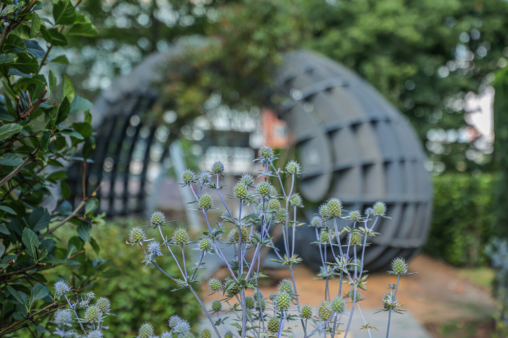 Сад "ГИПНОС" - ГРАН-ПРИ фестиваля "Сады и Люди"-2022