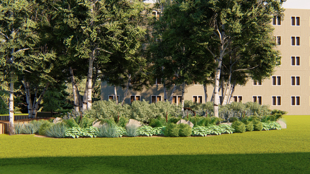 Обложка проекта: Лесной миксбордер