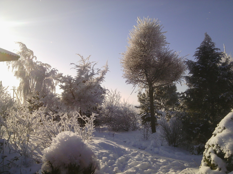 Наш собственный сад