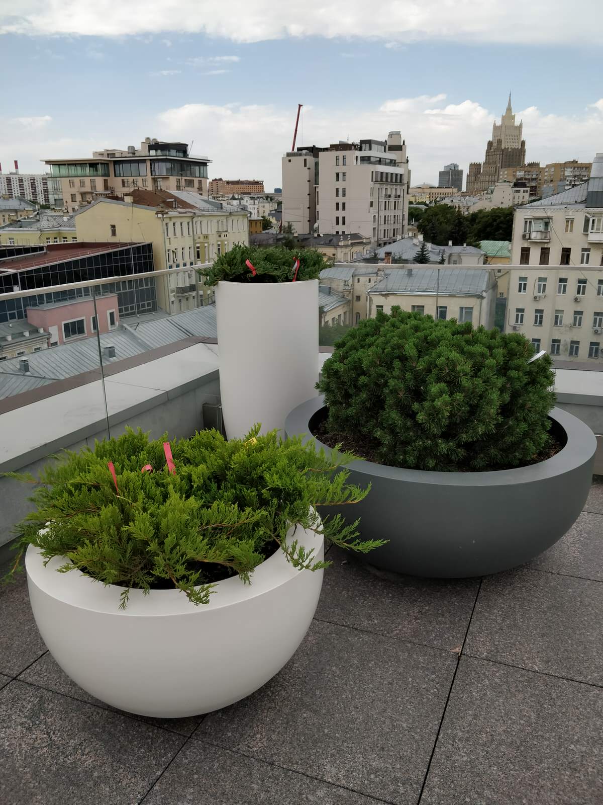 Озеленение крыши в центре Москвы