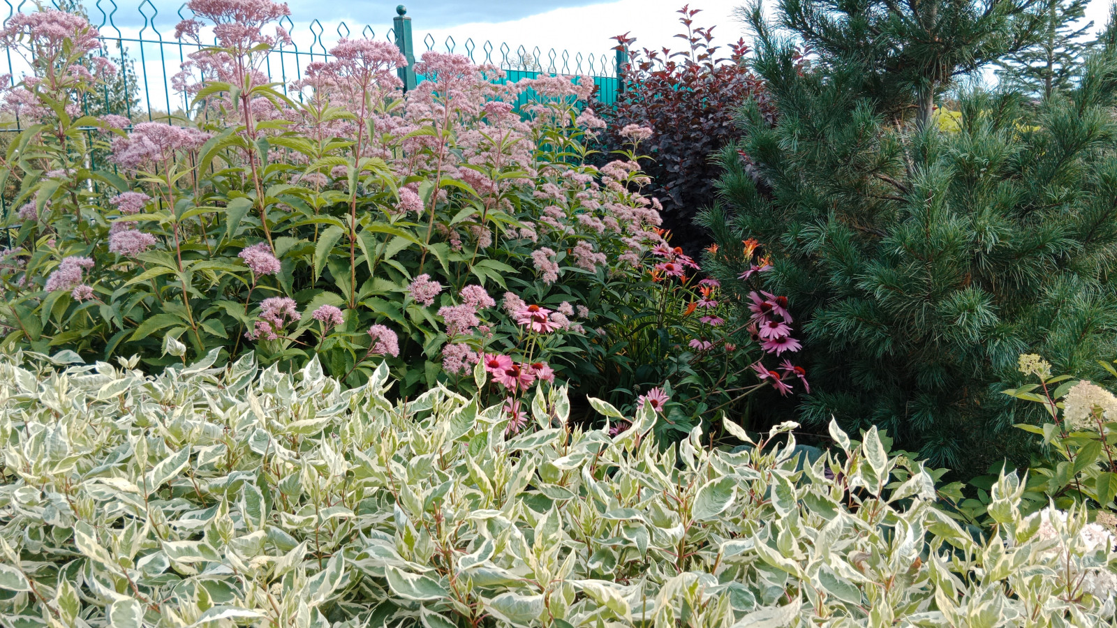 Серебрянный бор