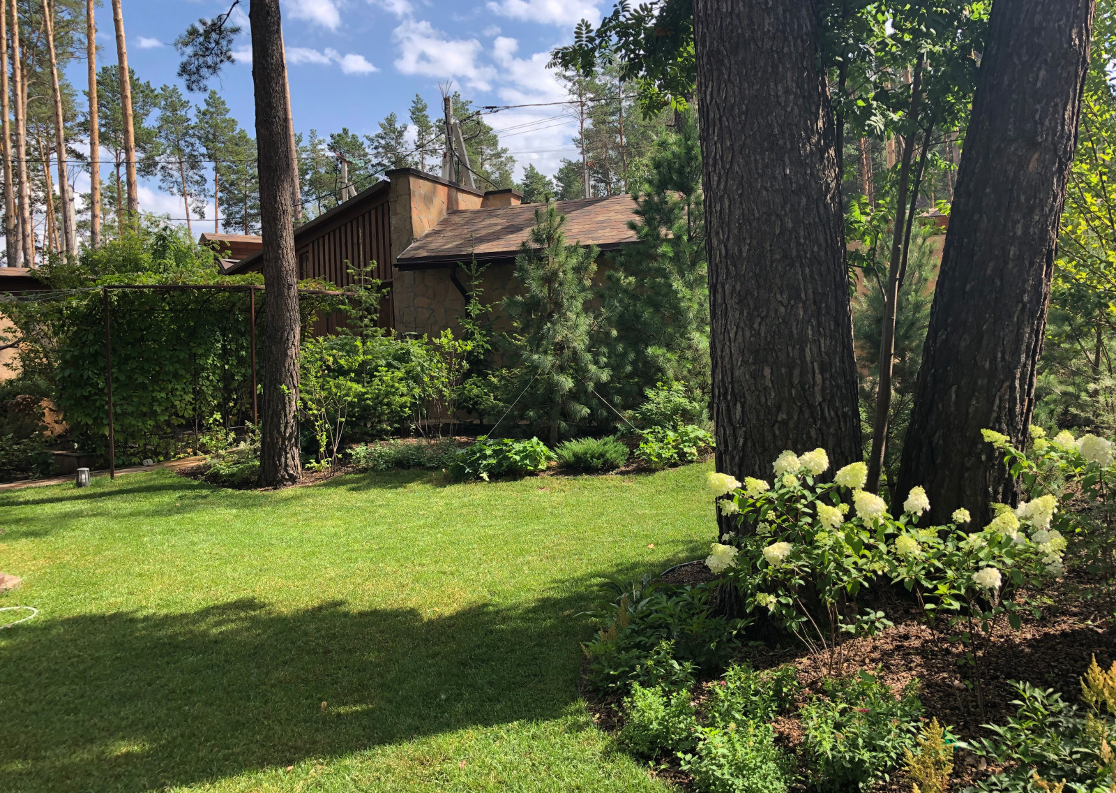 Просторный сад