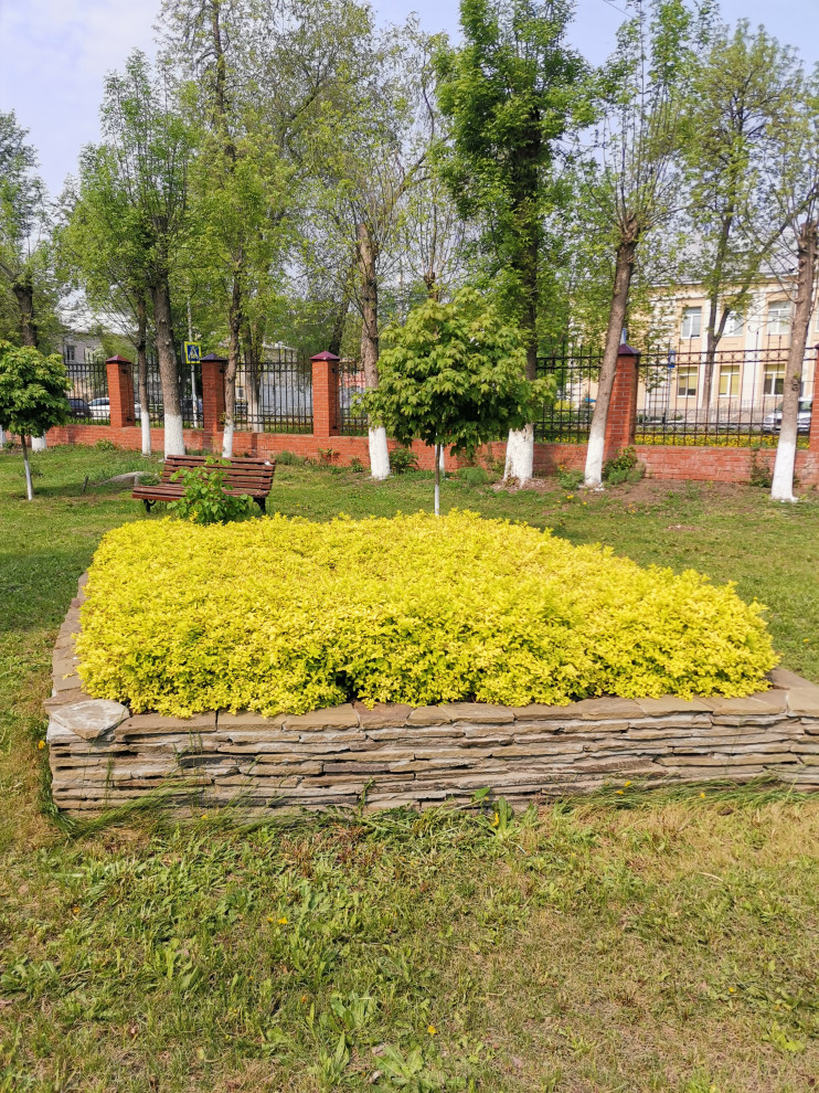 Самара ЛАП №135