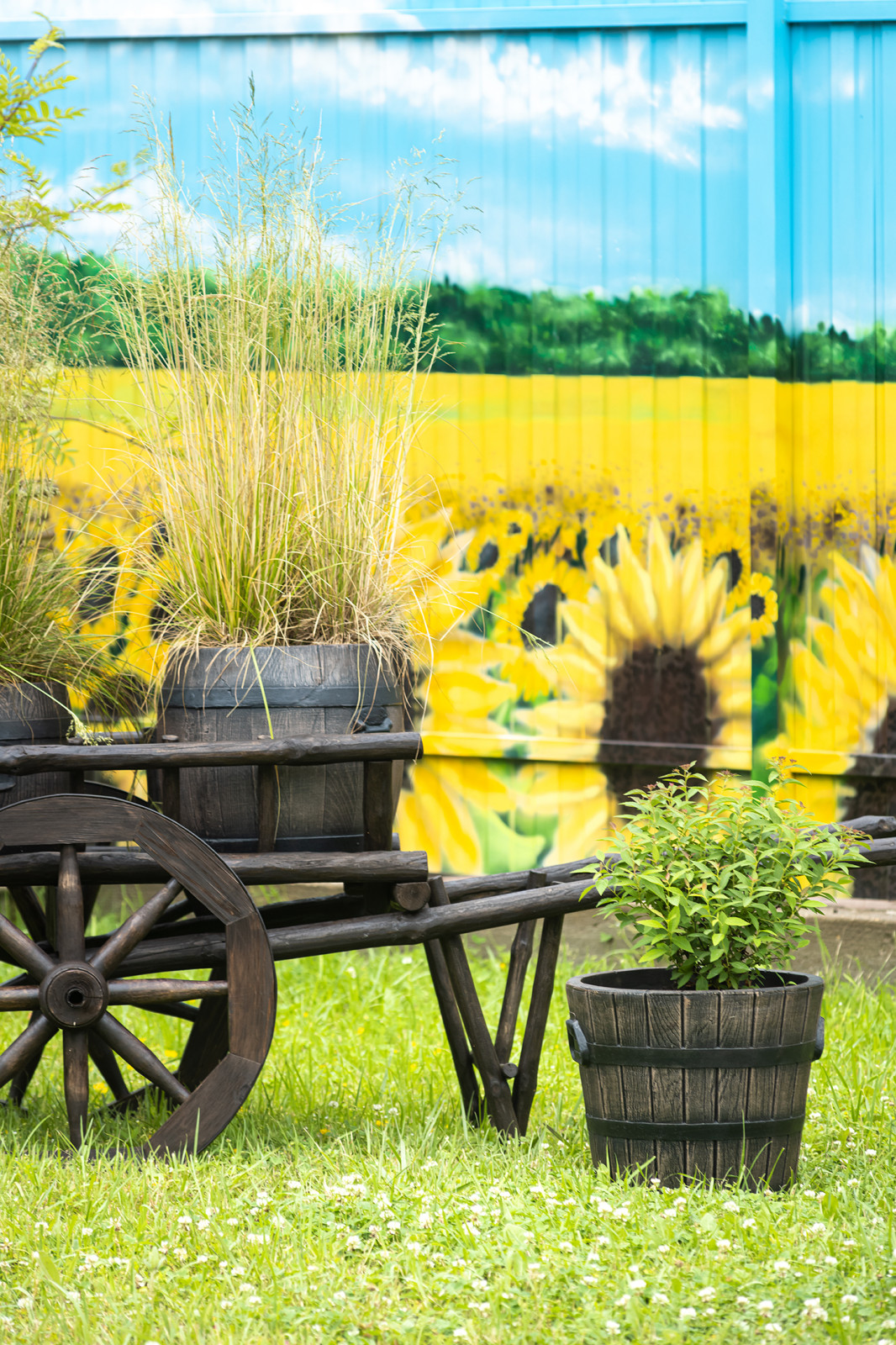 Современный хуторок у Наташи Королевой