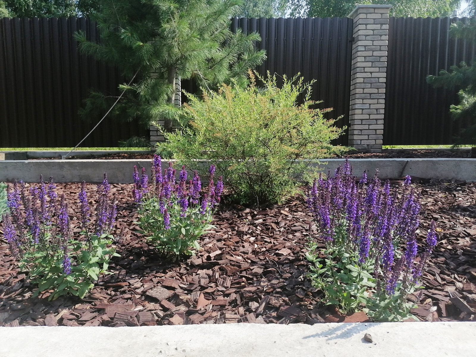 Небольшой сад в современном стиле