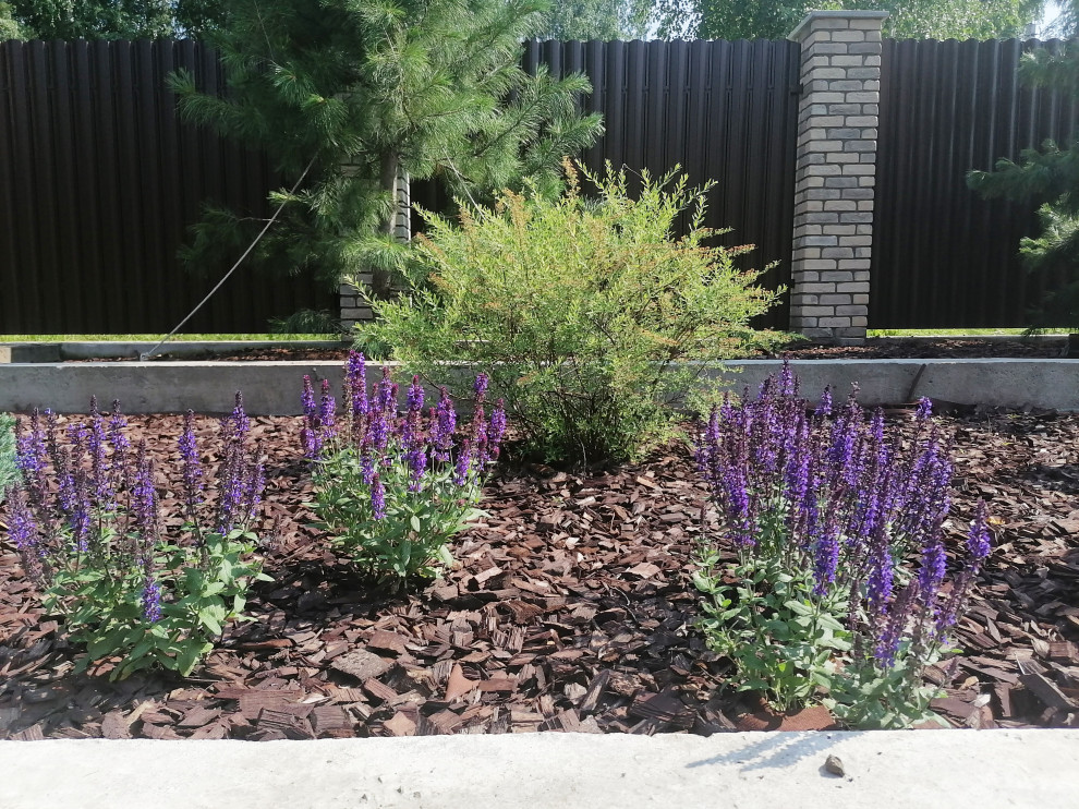 Небольшой сад в современном стиле