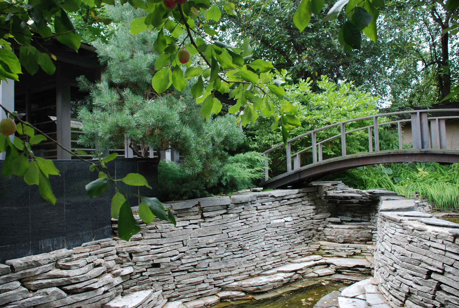 Стильный сад в КП "Поселок Художников"