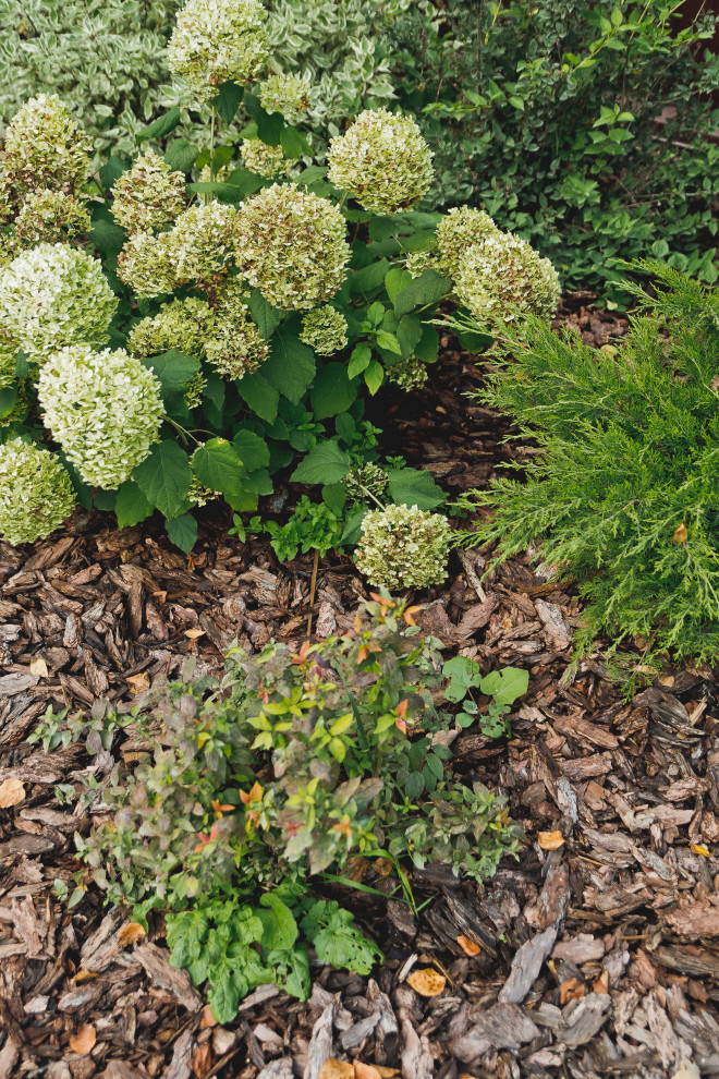 Сад на краю леса