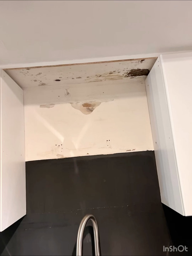 video-output-44A66AB8-7E37-4459-B6B4-AF3E0CECE016.mov