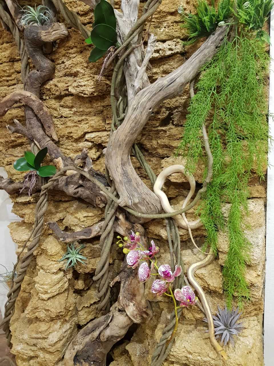 Террарий для змей