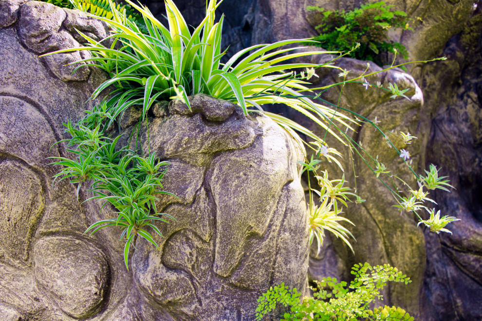 Тарасовка, зимний сад, 2012-2013 гг.