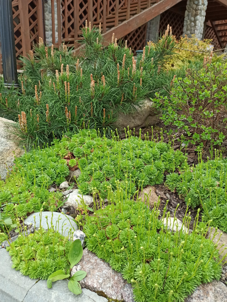 Воплощение проекта.Мельниково