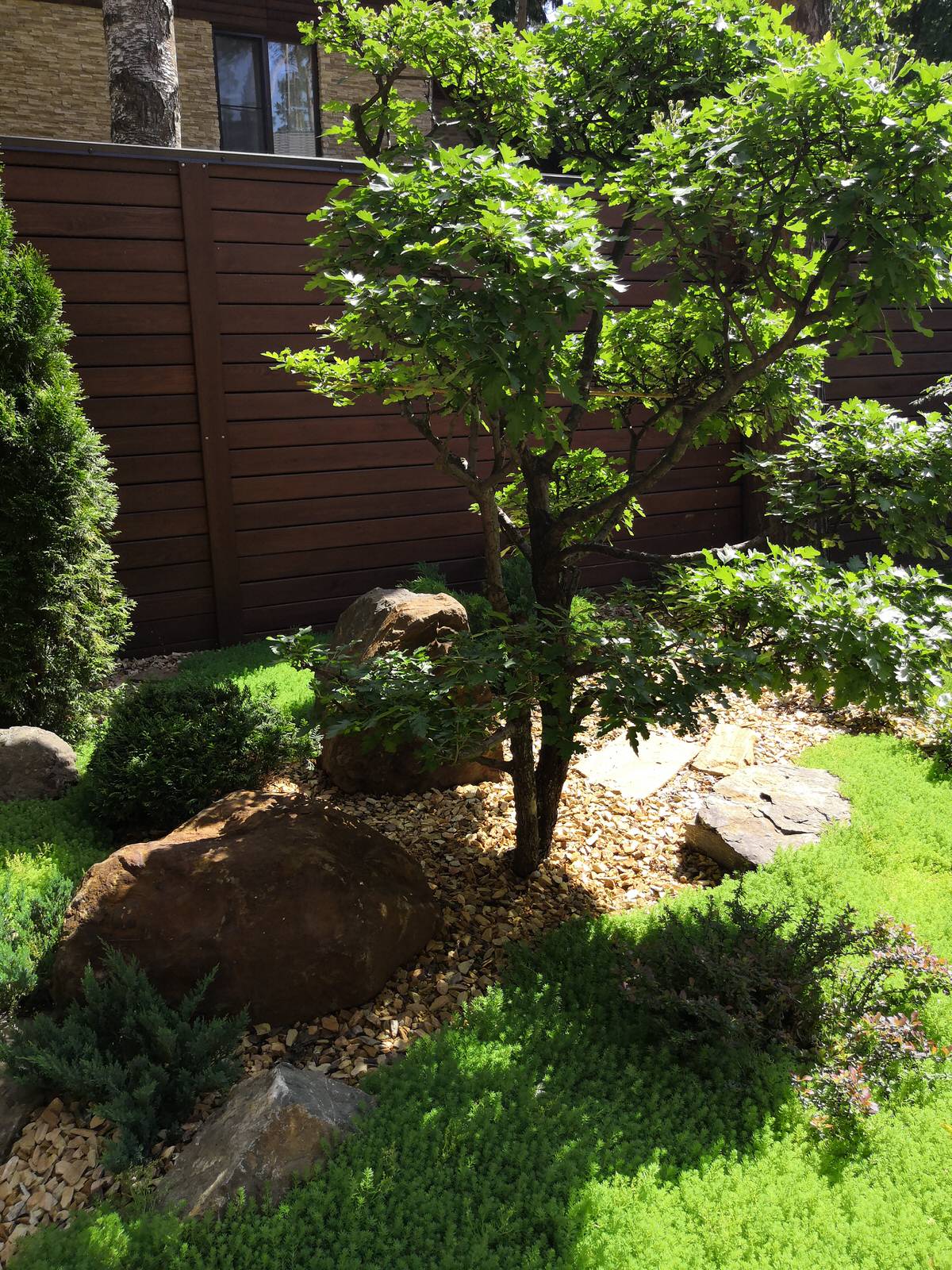 12 сот в лесу