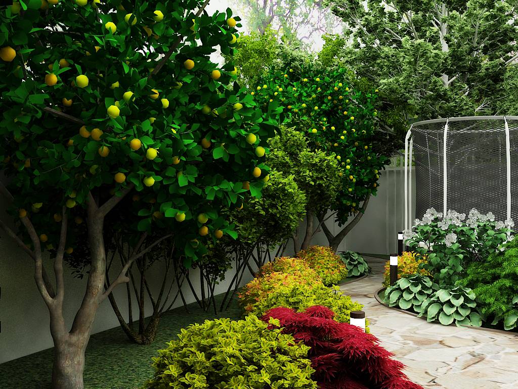 Ландшафтный дизайн