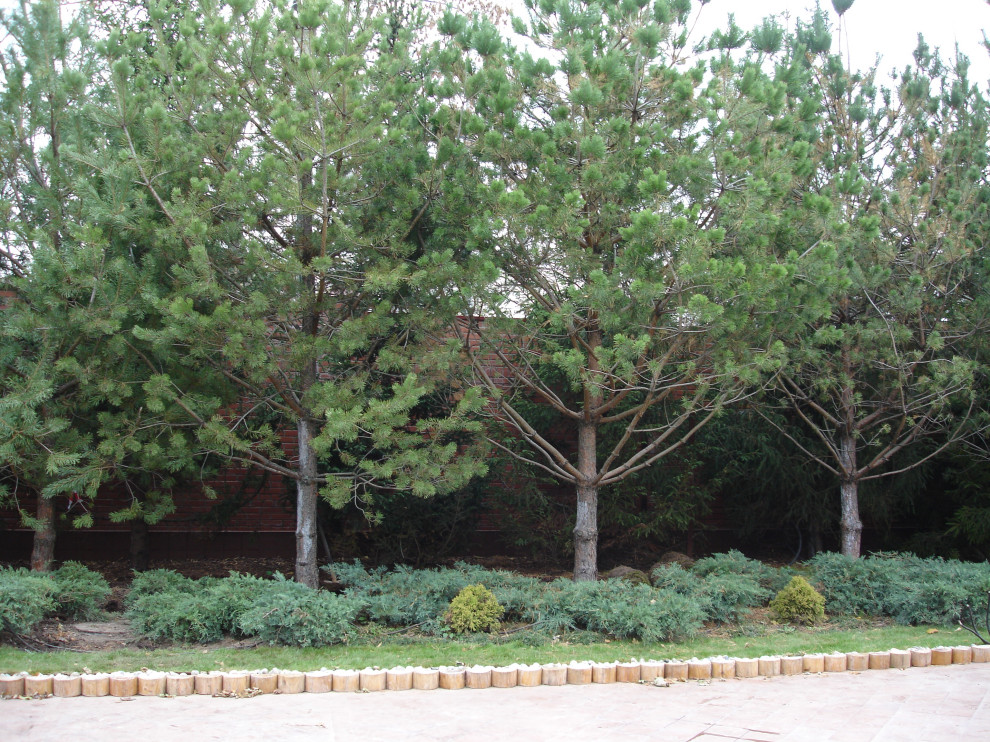 Сад с водопадом. Калчуга 2006 г