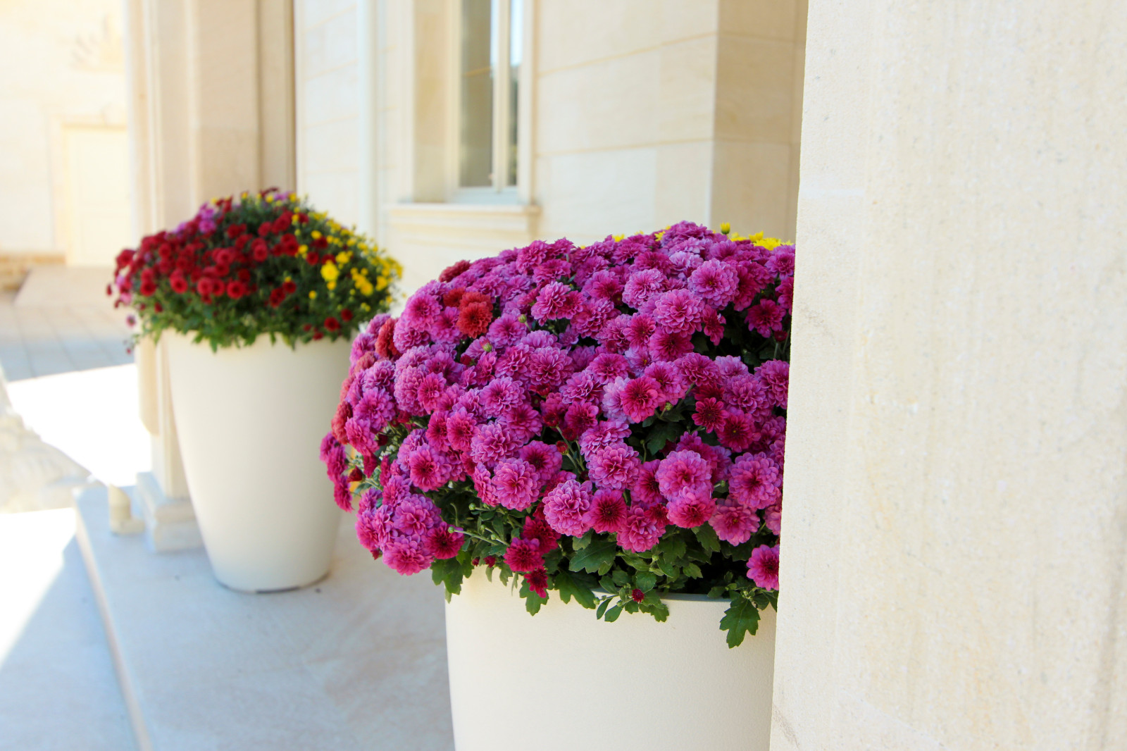 Павлово-2, 2022-2024 г.г.