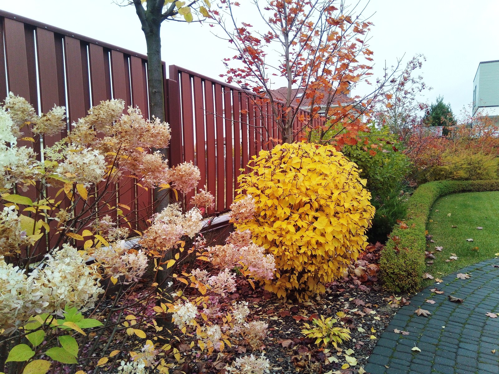 кп "Мартемьяново" - Профессиональный уход за садом - 100% качество!