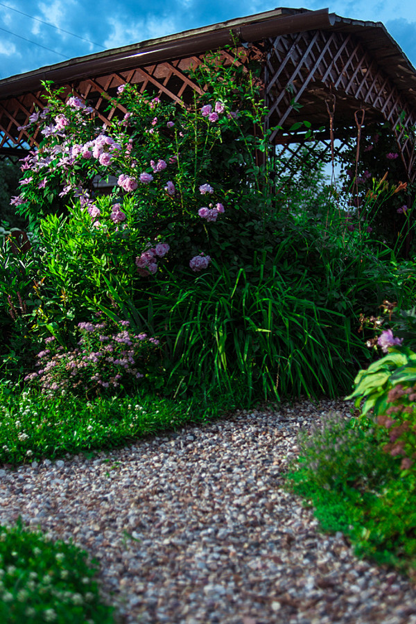 Романтический сад