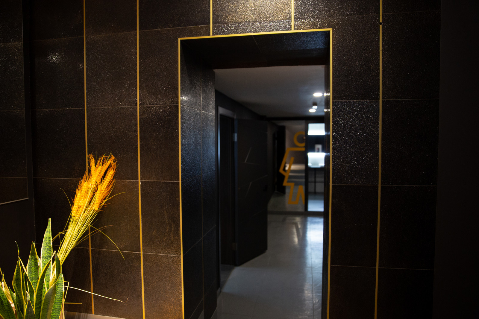 Обложка проекта: THE EDA