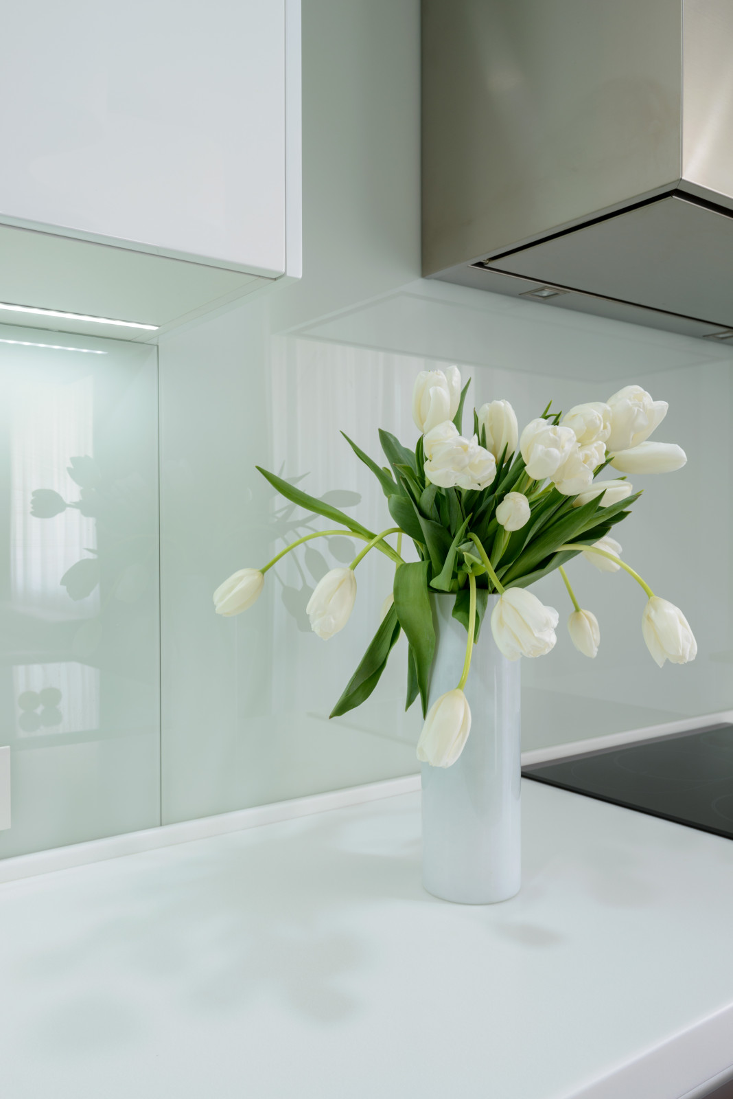 apartment with aquarium