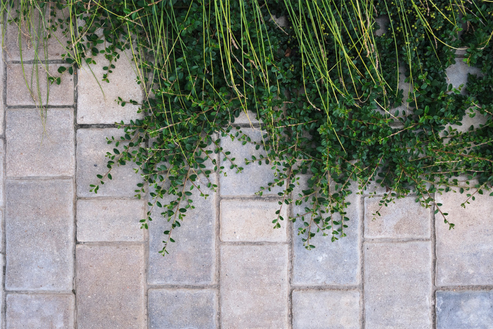 "Сад коллекционера" в Раменском районе Подмосковья