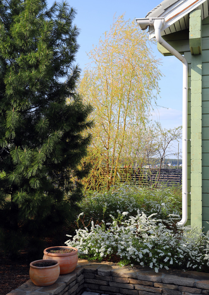 Полынный берег. Новые снимки