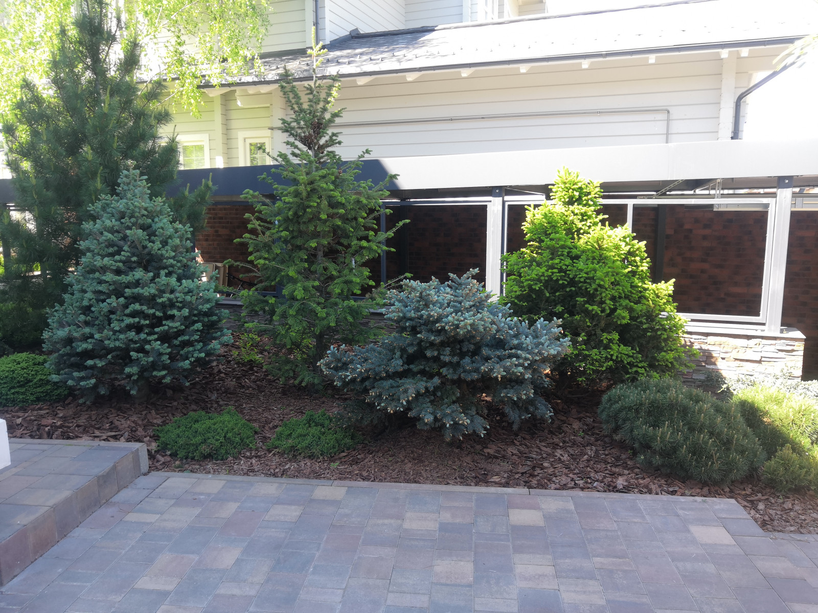 Landscape design of the territory (Moscow region, Sareevo village)