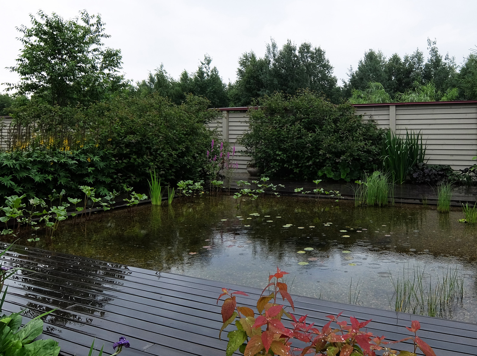 Сад с геометричным водоемом