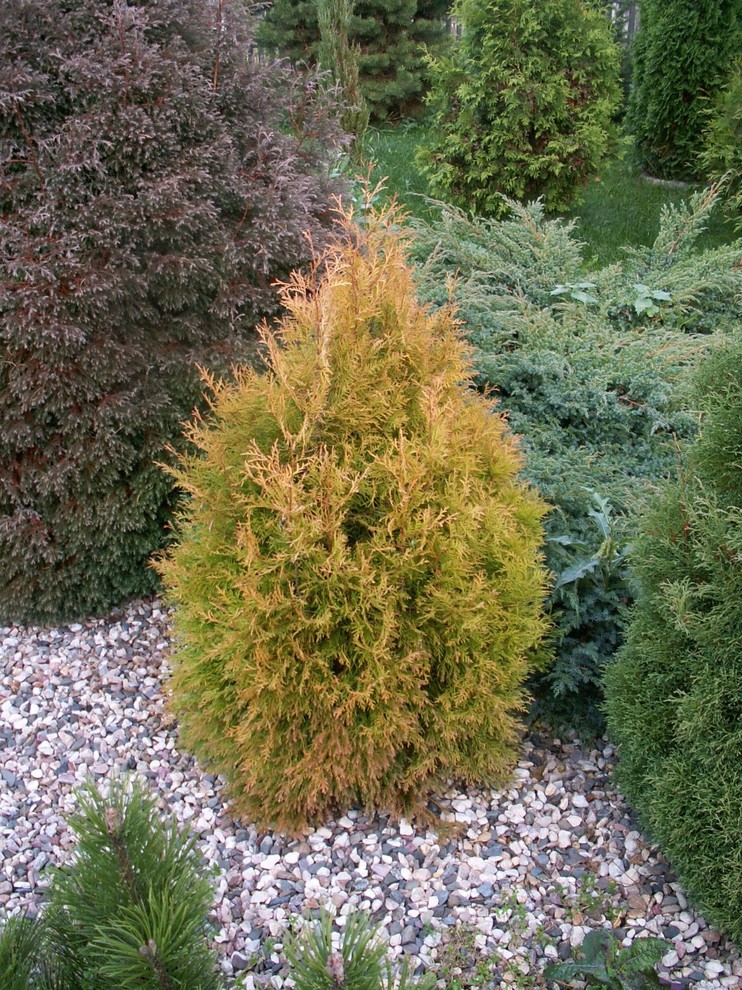 Тропинка в прошлое