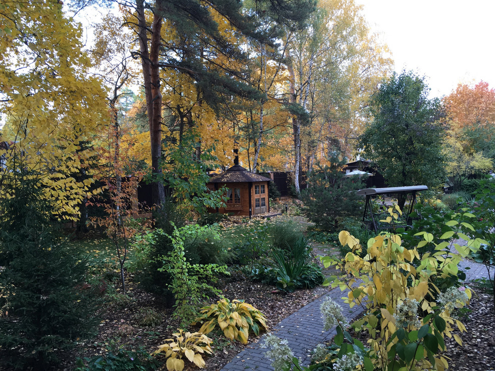 Белкин сад. Осень 2019