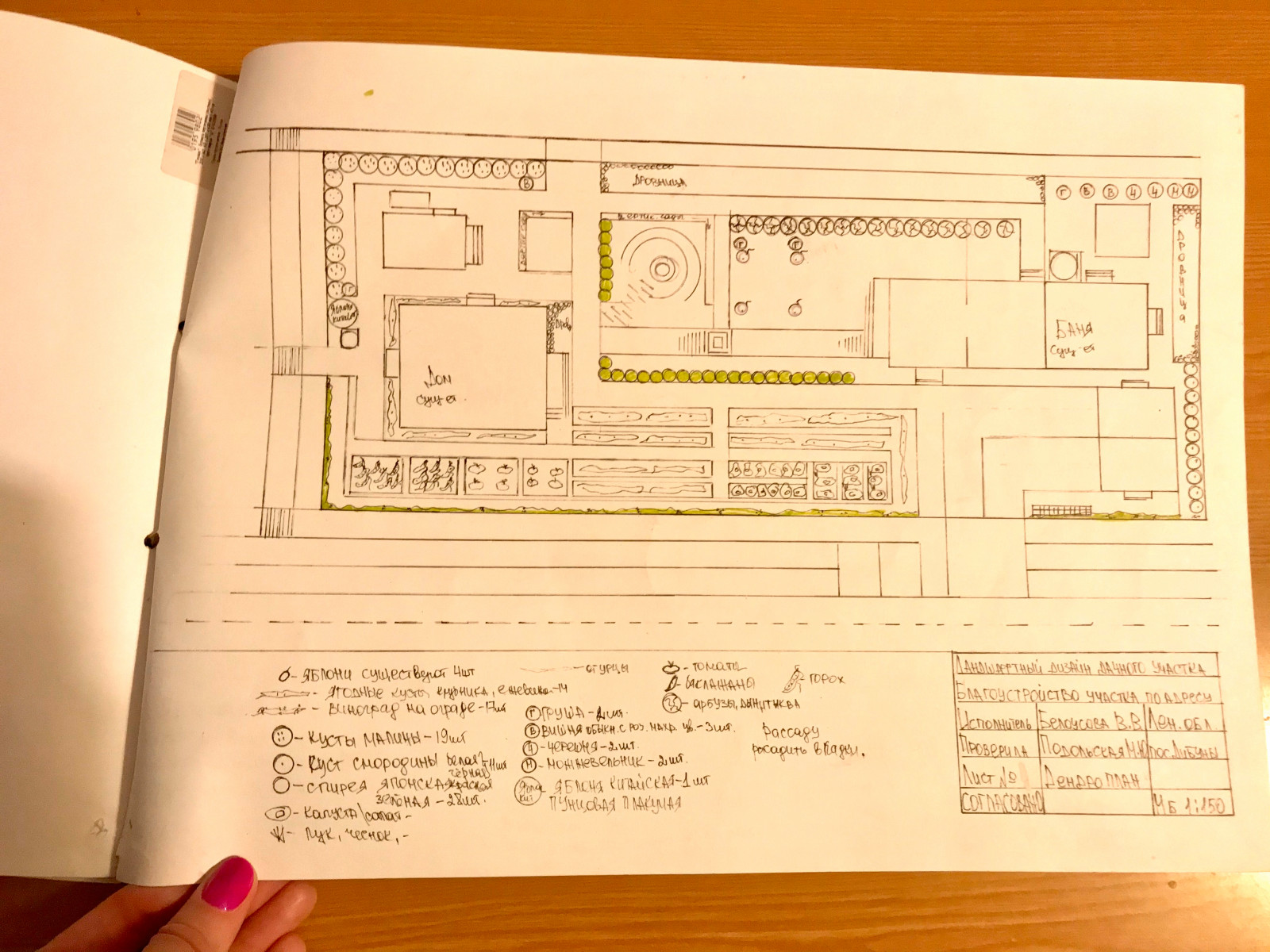 Обложка проекта: Благоустройство участка.