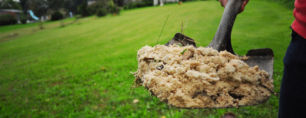 Цветущий сад: Календарь на май для дачников и садоводов