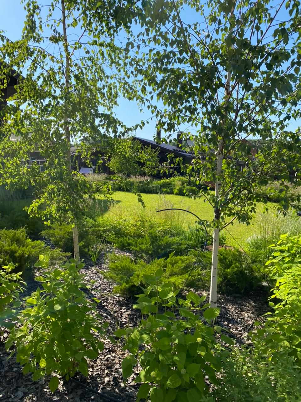 КП Альфа Терехово